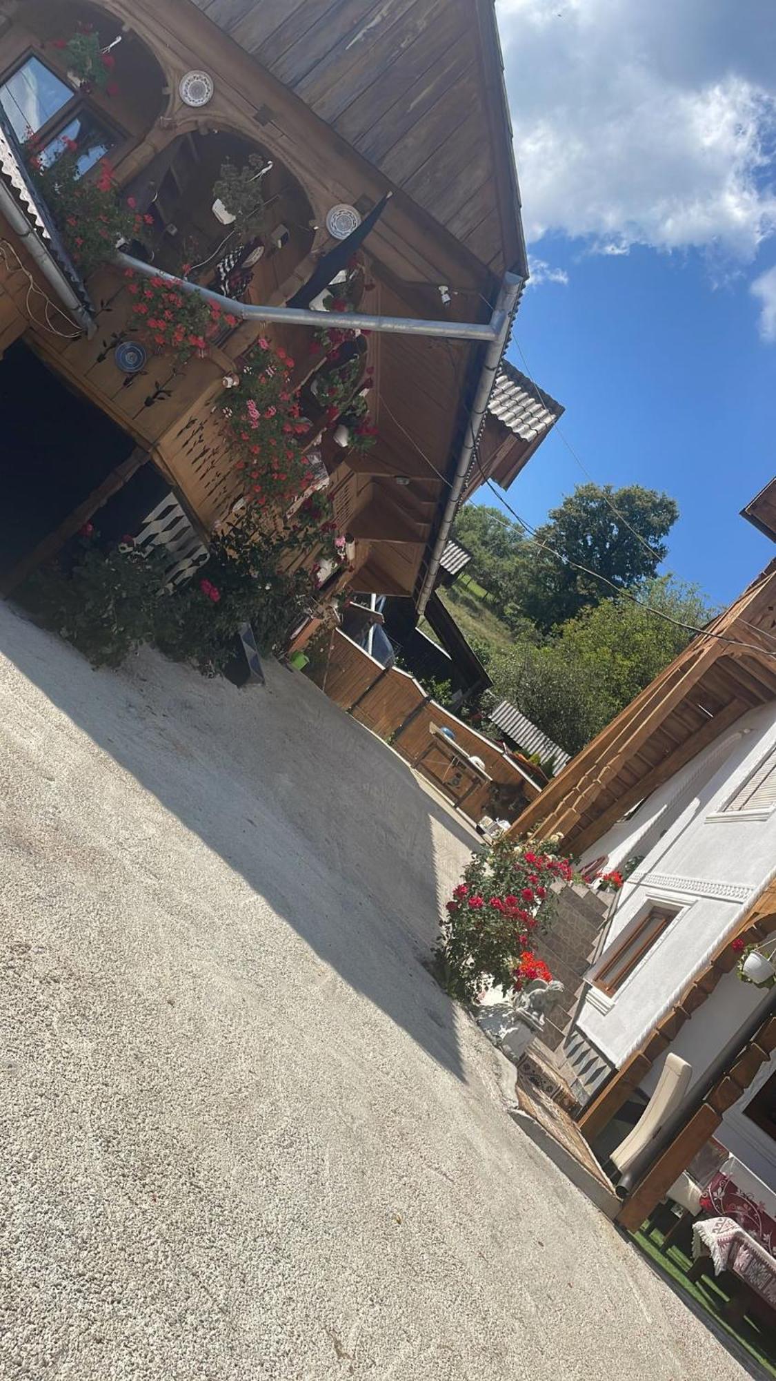 Casa Ionela Petreus Poienile Izei Exterior foto