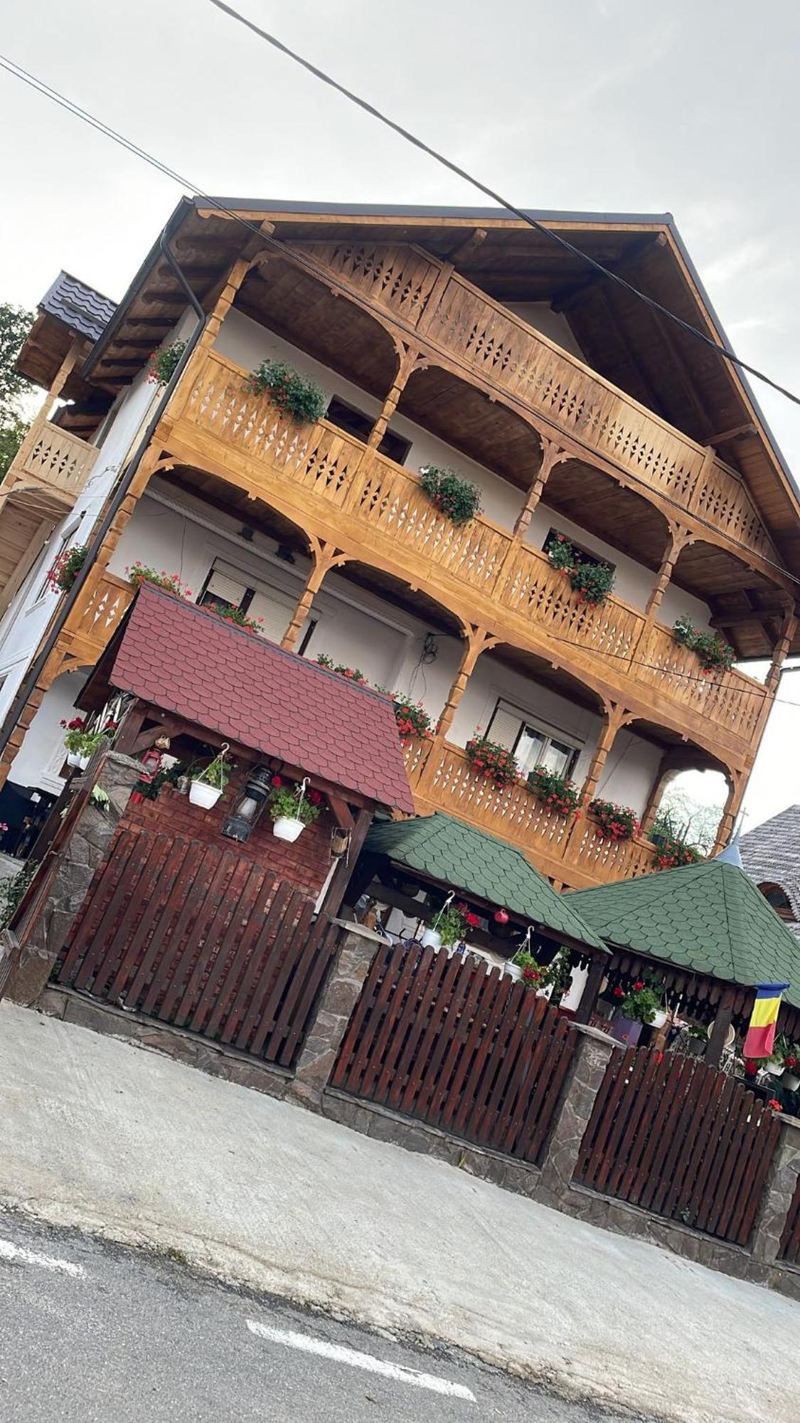 Casa Ionela Petreus Poienile Izei Exterior foto