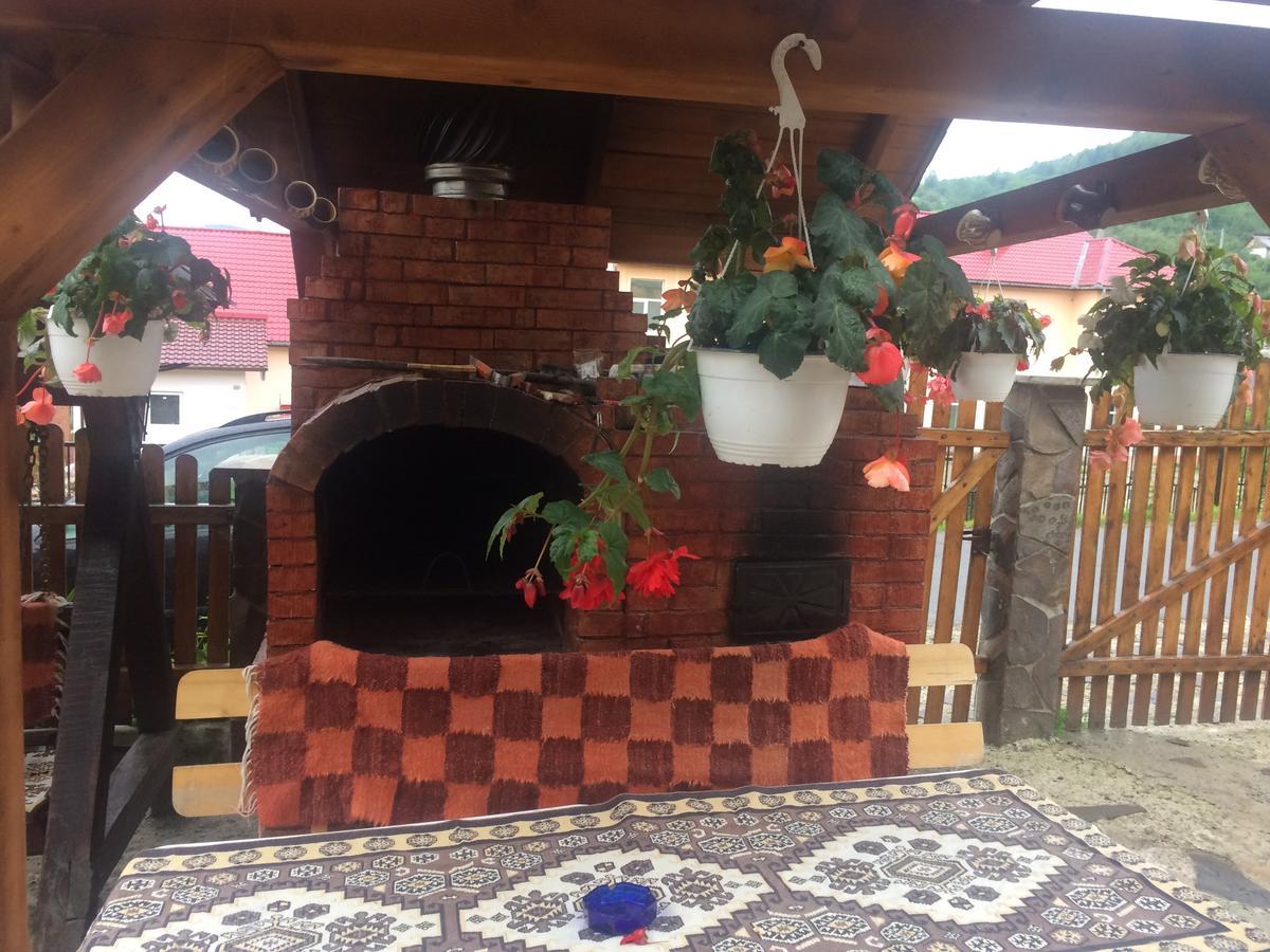 Casa Ionela Petreus Poienile Izei Exterior foto